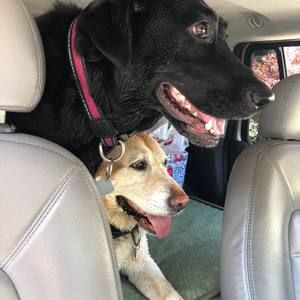 Meet your Posher, Mel b